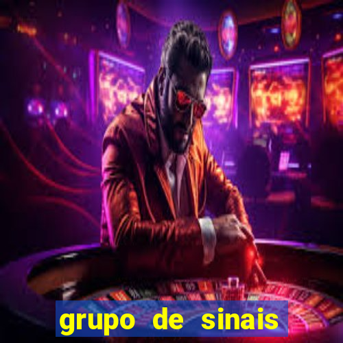 grupo de sinais fortune rabbit